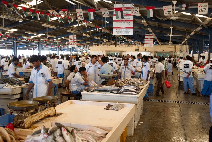 Fish Market Dubai