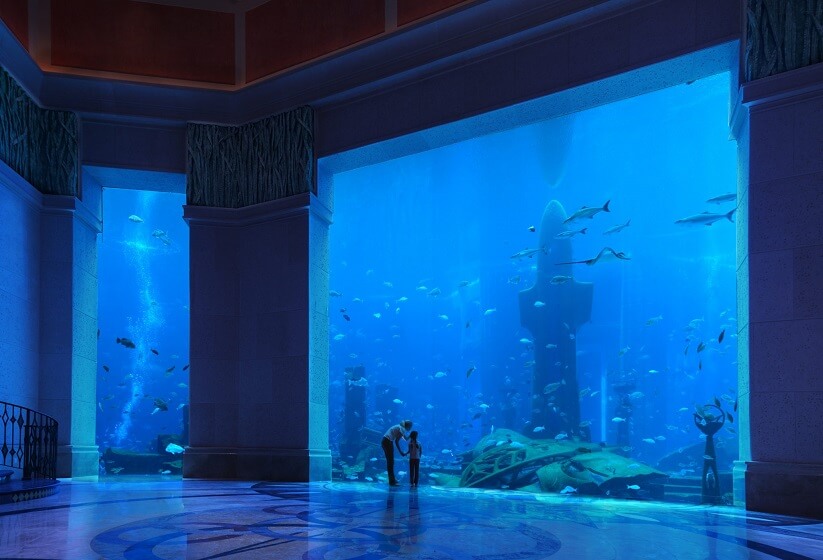 Lost Chamber Aquarium